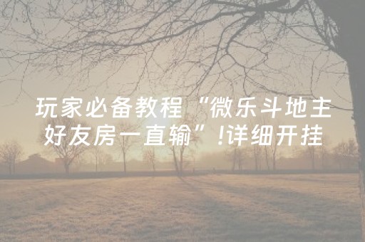 玩家必备教程“微乐斗地主好友房一直输”!详细开挂教程-抖音