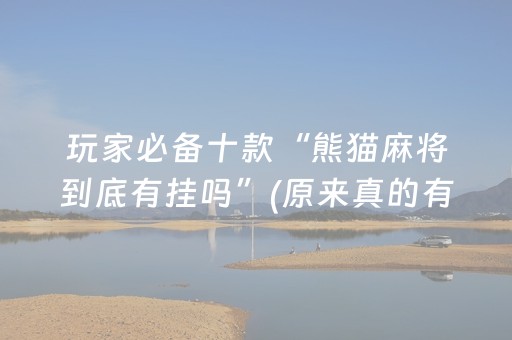 玩家必备十款“熊猫麻将到底有挂吗”(原来真的有挂)-抖音