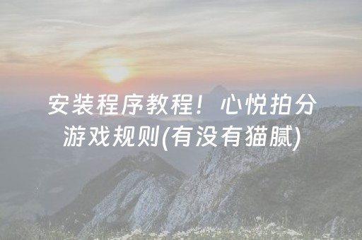安装程序教程！心悦拍分游戏规则(有没有猫腻)