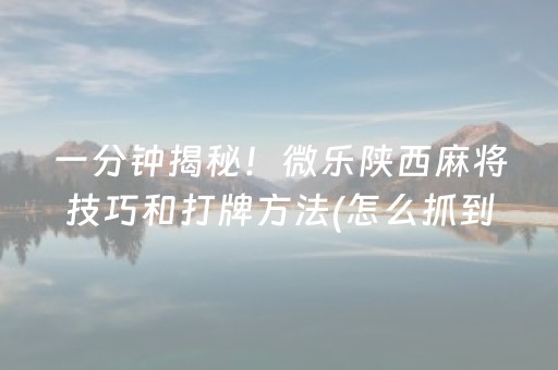 一分钟揭秘！微乐陕西麻将技巧和打牌方法(怎么抓到好牌)