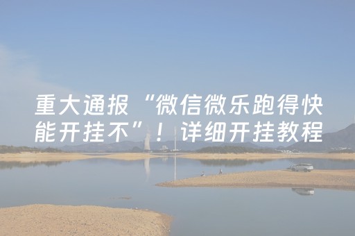 一分钟揭秘“微信微乐锄大地辅助器”（辅助器下载)