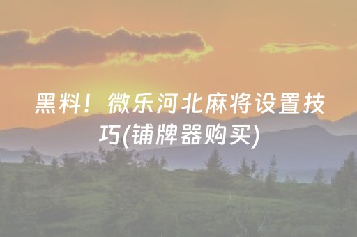 黑料！微乐河北麻将设置技巧(铺牌器购买)