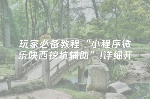 玩家必备教程“小程序微乐陕西挖坑辅助”!详细开挂教程-抖音