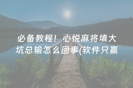 3分钟讲解“财神十三张新号稳赢”（辅牌器插件购买)