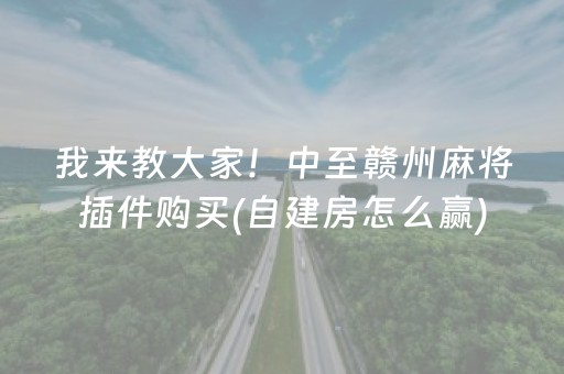 我来教大家！中至赣州麻将插件购买(自建房怎么赢)