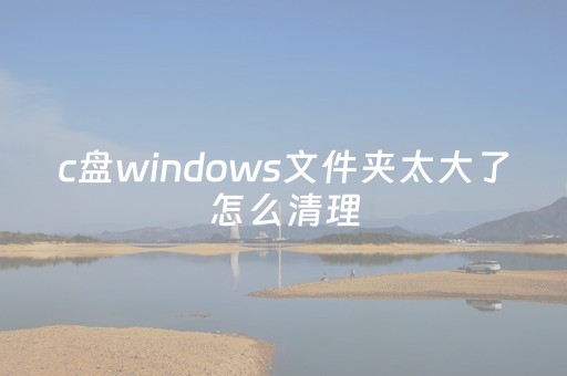 c盘windows文件夹太大了怎么清理（在u盘删除的文件怎么恢复）