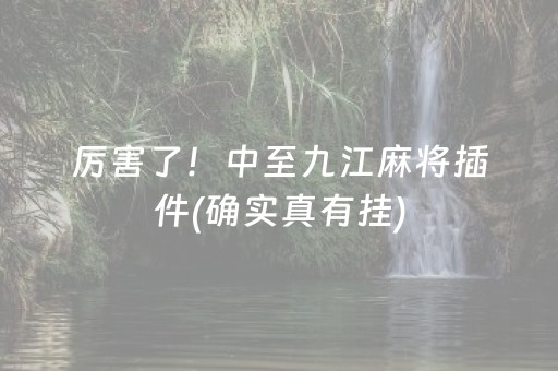 厉害了！中至九江麻将插件(确实真有挂)