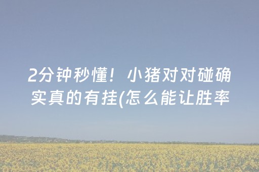 玩家必备“微乐够级怎么拿到好牌”（助赢神器)