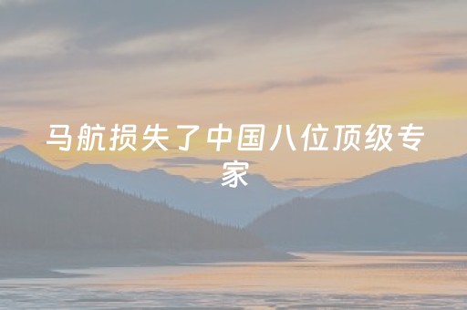 马航损失了中国八位顶级专家（马航损失了中国八位顶级专家谣言）