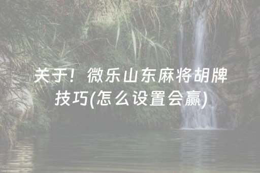 关于！微乐山东麻将胡牌技巧(怎么设置会赢)