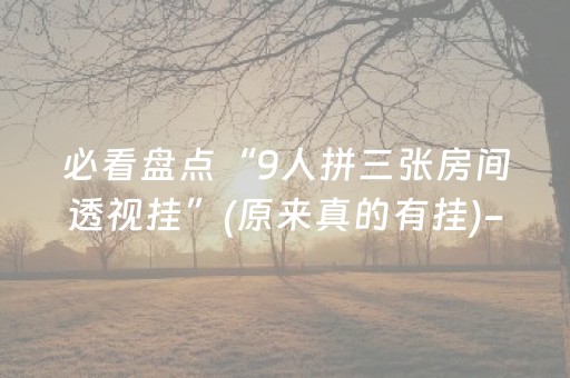 必看盘点揭秘“微乐陕西麻将专用神器”（必赢神器辅助器)