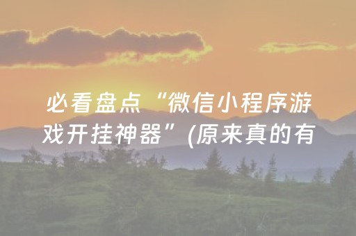 必看盘点“微信小程序游戏开挂神器”(原来真的有挂)-抖音