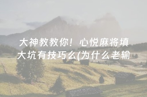 盘点十款“微乐湖北麻将开挂神器”（小程序控牌器)