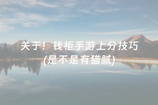 玩家必备攻略“微乐跑得快充值后胜率能提高吗”（必赢神器)