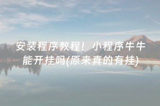 玩家必看攻略“微信雀神麻将小程序赢的技巧规律”（装挂怎么安装)