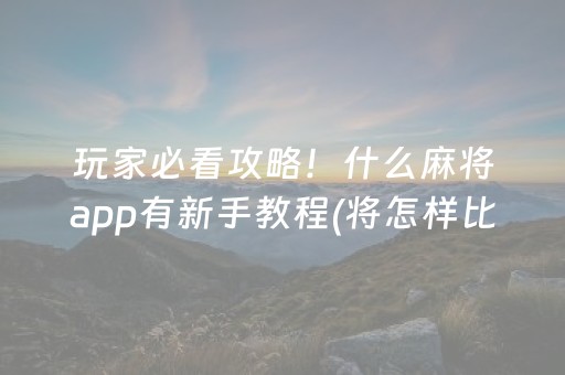 必备教程“微乐湖北麻将胡牌神器”（怎么增加胜率)
