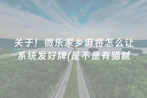 必备教程“小程序微乐麻将自建房怎么赢”（怎么调胜率)