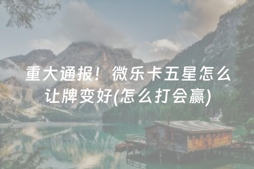安装程序教程“微乐掼蛋辅助器”（助赢神器)