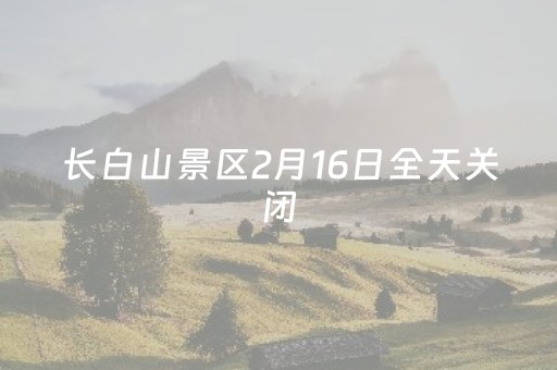 玩家必备教程“微信小程序微乐麻将如何提高胜率”（挂件神器)