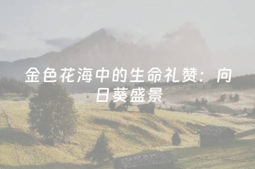 推荐十款“微乐山西麻将斗地主怎么提高胜率”（装挂怎么安装)
