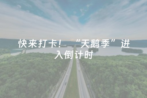 介绍十款“微乐内蒙麻将怎么拿好牌”（透明器教程)