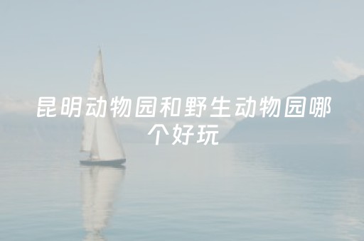 昆明动物园和野生动物园哪个好玩（昆明野生动物园动物多吗）