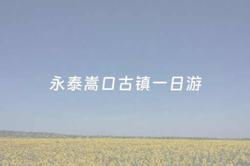 永泰嵩口古镇一日游（永泰嵩口古镇必去景点）