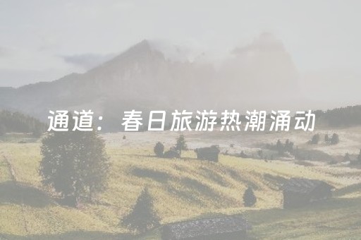 安装程序教程“微乐陕西麻将辅牌器购买”（如何提高胜率)