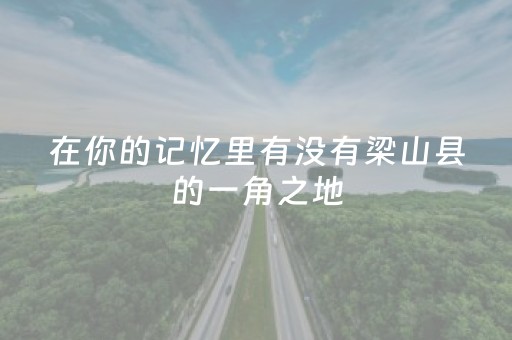 玩家必备教程“微信微乐保皇助赢神器”（辅牌器插件购买)