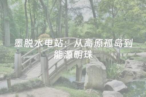 胜率设置方法“微信小程序里的麻将确实有挂吗”（插件开挂免费AI)