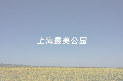 黑料“微乐内蒙麻将助赢神器”（怎么设置才能赢)