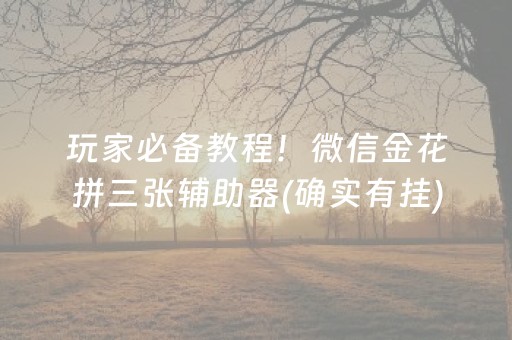 玩家必备攻略“微乐广东麻将辅助器插件”（为什么有人一直赢)