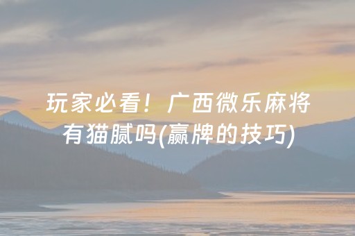介绍十款“微乐海南麻将辅助器插件”（神器最新免费)