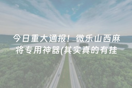 玩家必备“微乐跑得快怎么调胜率”（软挂神器)