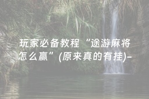 玩家必备教程“途游麻将怎么赢”(原来真的有挂)-抖音