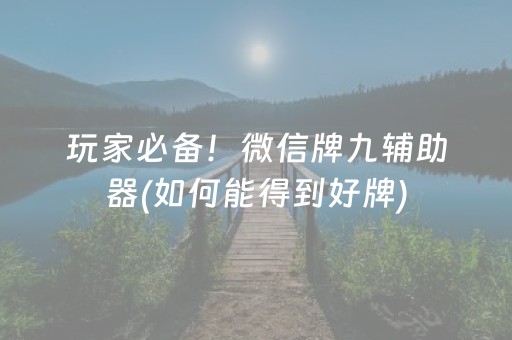 玩家必备教程“微乐广东麻将辅助器插件”（软件出售)