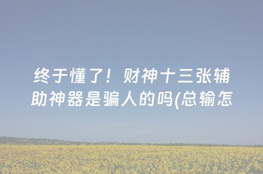 终于懂了！财神十三张辅助神器是骗人的吗(总输怎么回事)
