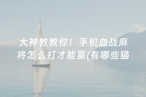 一分钟揭秘“微乐甘肃麻将自建房胜负规律”（辅助神器免费)