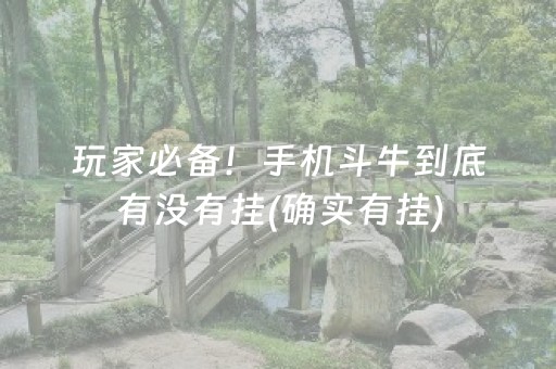 玩家必备！手机斗牛到底有没有挂(确实有挂)