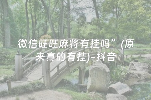 介绍十款“微乐家乡麻将助赢神器购买”（自建房怎么赢)
