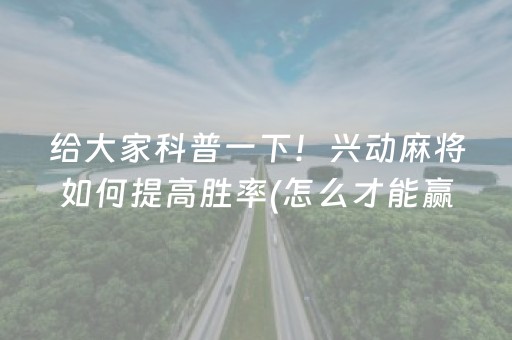 给大家科普一下！兴动麻将如何提高胜率(怎么才能赢)