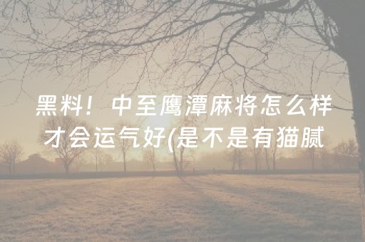 一分钟了解“微乐湖南麻将自建房怎么赢”（究竟是不是有挂)