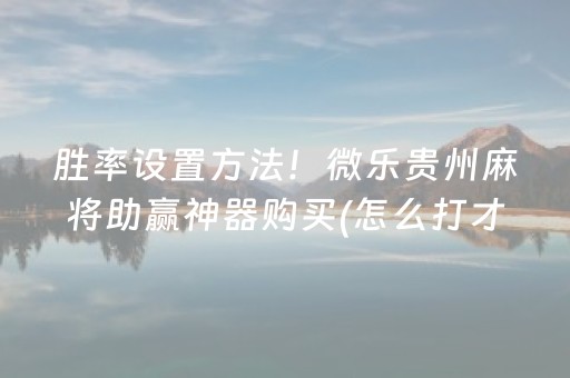 胜率设置方法！微乐贵州麻将助赢神器购买(怎么打才能赢)