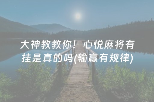 3分钟讲解“微乐填大坑一直输”（透明挂辅助器)