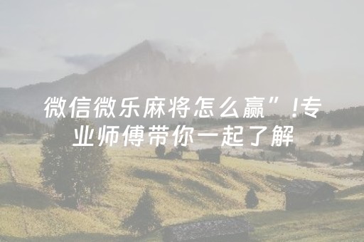 微信微乐麻将怎么赢”!专业师傅带你一起了解（详细教程）-抖音