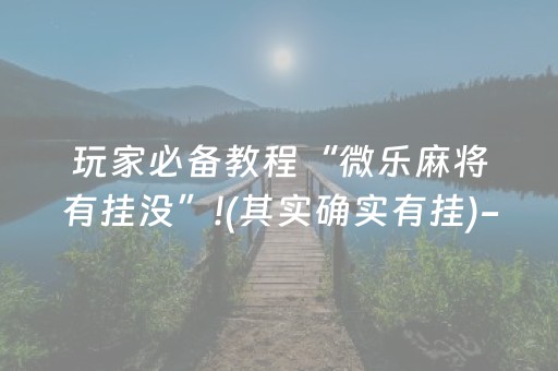 7分钟揭秘“微乐卡五星必赢神器”（辅助器下载)