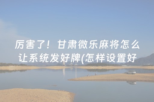 玩家必备教程“微乐掼蛋第三方辅助器”（插件开挂免费AI)