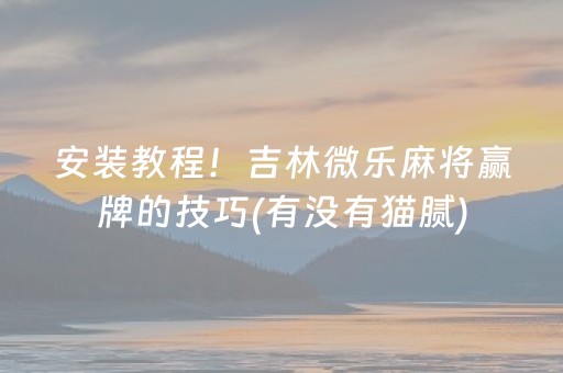 安装教程！吉林微乐麻将赢牌的技巧(有没有猫腻)