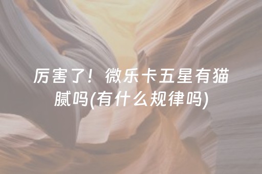 重大通报“微乐填大坑为什么一直输”（做弊器软件下载)