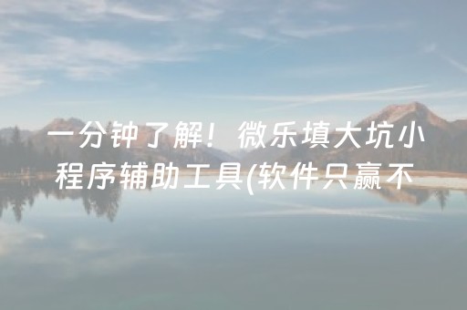 一分钟了解！微乐填大坑小程序辅助工具(软件只赢不输)